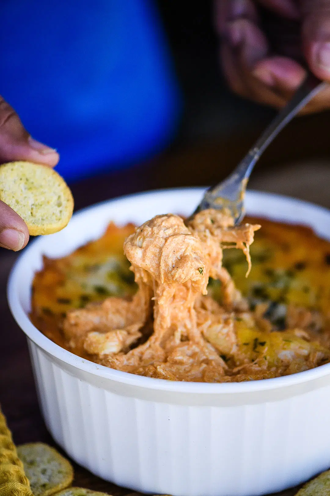 Buffalo Chicken Dip