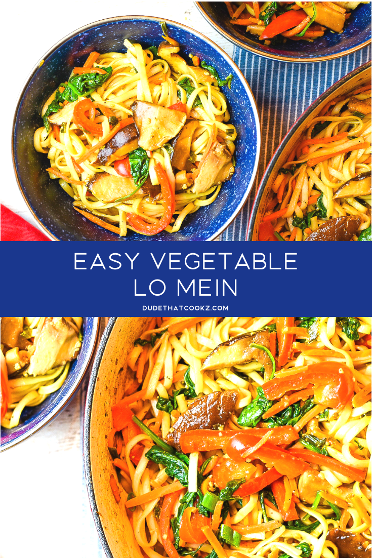 I truly enjoyed Vegetable Lo Mein growing up and it's so simple and easy to make. Forget about takeout when you can make this at home is less than 20 minutes. #lomein #vegetarian #vegetarianrecipes #vegetablelomein #noodles #vegetariannoodles #dinnerrecipes #lunchrecipes #dinnerideas #veggies #vegetables #healthyrecipes #pasta #pastarecipes