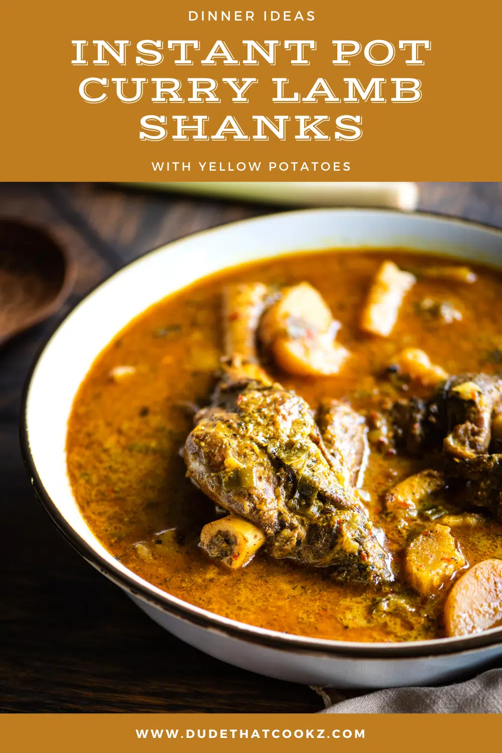 instant pot curry lamb shanks