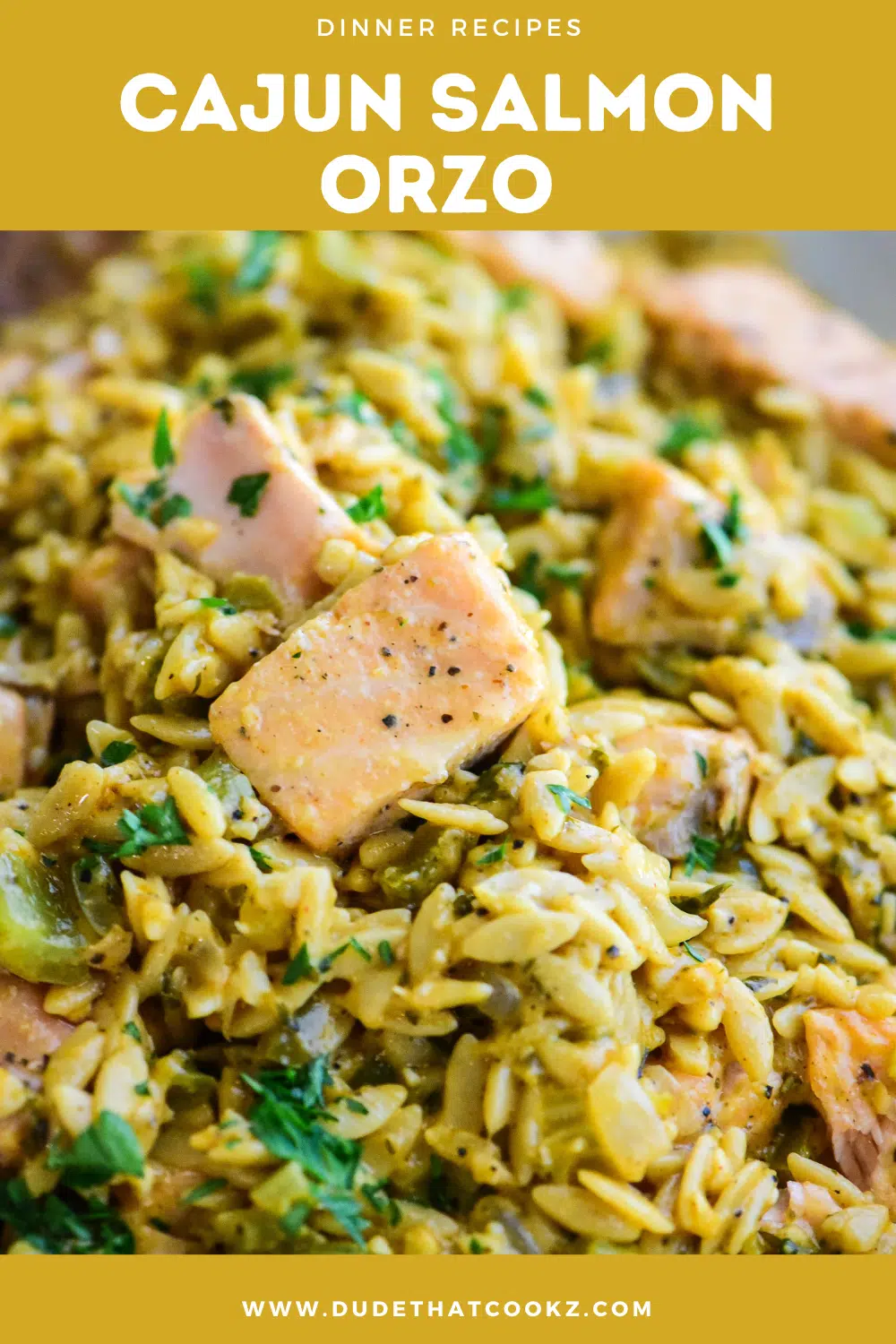 cajun salmon orzo