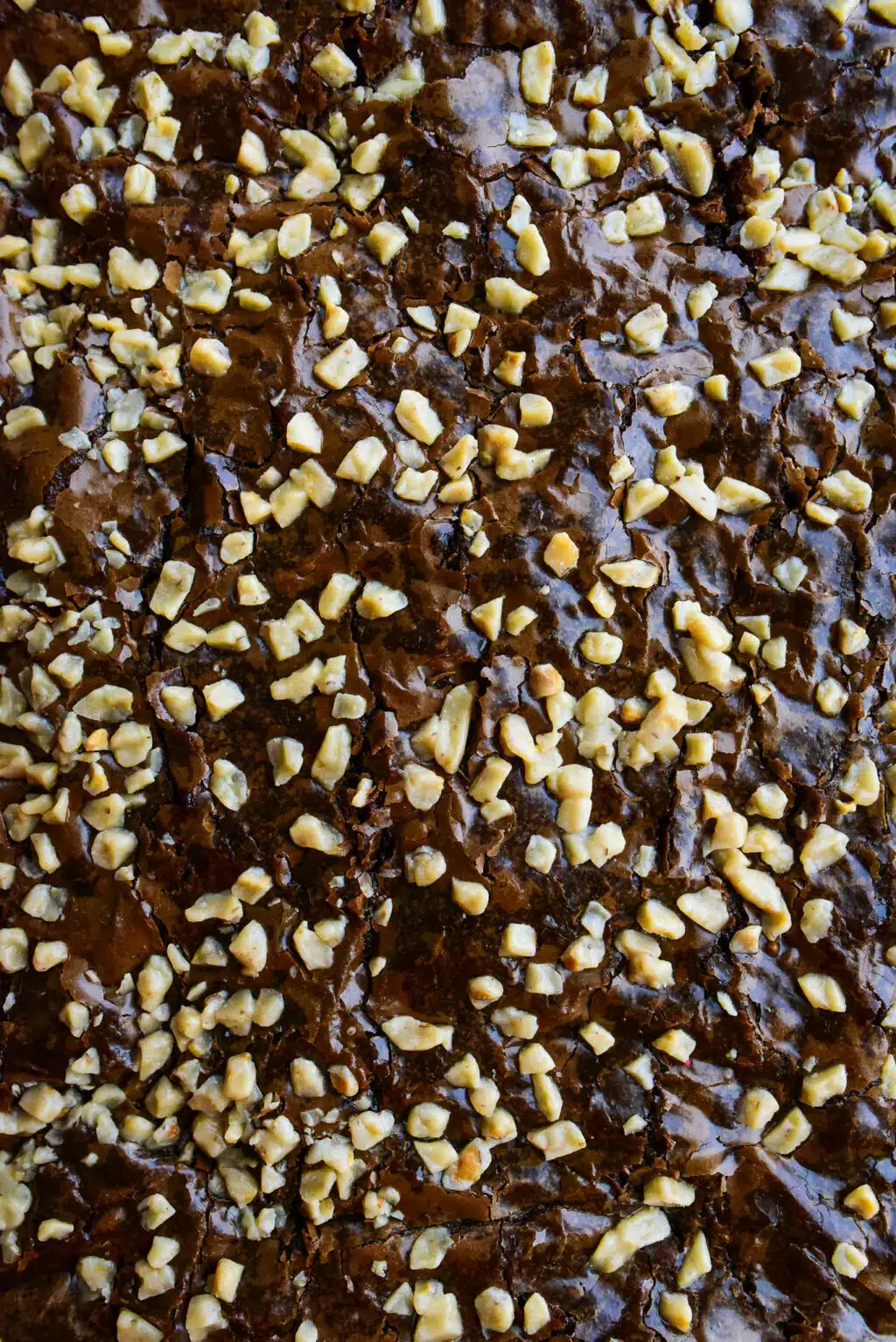overhead close-up of toffee brownies